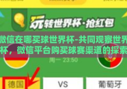微信在哪买球世界杯-共同观察世界杯，微信平台购买球赛渠道的探索