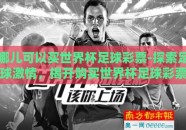 哪儿可以买世界杯足球彩票-探索足球激情，揭开购买世界杯足球彩票的神秘面纱