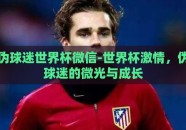 伪球迷世界杯微信-世界杯激情，伪球迷的微光与成长