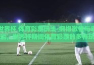 世界杯 体育彩票玩法-拥抱激情与幸运，世界杯期间体育彩票的多样玩味