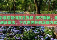 彩票店如何买世界杯-技巧揭秘，走进彩票店，下注世界杯的正确方式
