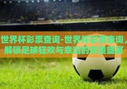 世界杯彩票查询-世界杯彩票查询，解锁足球狂欢与幸运的双重盛宴