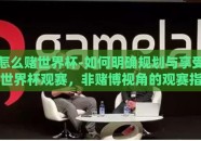 怎么赌世界杯-如何明确规划与享受世界杯观赛，非赌博视角的观赛指南