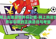 网上去哪买世界杯彩票-网上购买世界杯彩票的正确途径与考量