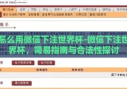 怎么用微信下注世界杯-微信下注世界杯，简易指南与合法性探讨