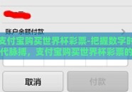 支付宝购买世界杯彩票-把握数字时代脉搏，支付宝购买世界杯彩票的潮流与挑战