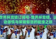 世界杯竞猜订阅号-世界杯竞猜，运动激情与策略智慧的碰撞之旅