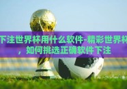 下注世界杯用什么软件-精彩世界杯，如何挑选正确软件下注