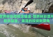 世界杯彩票概念基金-世界杯彩票与概念基金，激荡的投资新视角