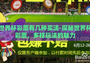 世界杯彩票有几种买法-探秘世界杯彩票，多样玩法的魅力