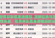 世界杯彩票单场倍投-足球狂热与理性决策，世界杯彩票单场倍投的深度考量