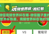微信竞猜世界杯在哪-微信圈子里的世界杯热潮，竞猜世界杯在哪的背后故事