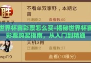 世界杯赛彩票怎么买-揭秘世界杯赛彩票购买指南，从入门到精通