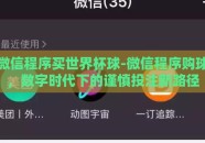 微信程序买世界杯球-微信程序购球，数字时代下的谨慎投注新路径