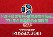 下注平台世界杯-重塑激情与信赖，下注平台世界杯的全面观照