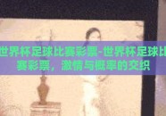 世界杯足球比赛彩票-世界杯足球比赛彩票，激情与概率的交织