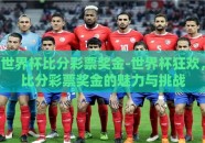 世界杯比分彩票奖金-世界杯狂欢，比分彩票奖金的魅力与挑战