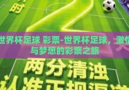 世界杯足球 彩票-世界杯足球，激情与梦想的彩票之旅