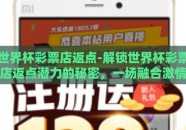 世界杯彩票店返点-解锁世界杯彩票店返点潜力的秘密，一场融合激情与智慧的盛筵