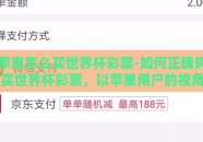 苹果怎么买世界杯彩票-如何正确购买世界杯彩票，以苹果用户的视角