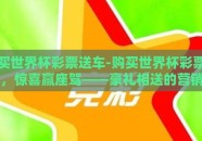 买世界杯彩票送车-购买世界杯彩票，惊喜赢座驾——豪礼相送的营销新风潮