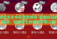 微信天天中彩票世界杯-掌握好运的秘诀，在微信上的每日彩票之旅