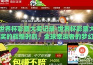 世界杯彩票大奖记录-世界杯彩票大奖的辉煌时刻，全球幸运者的梦幻之旅