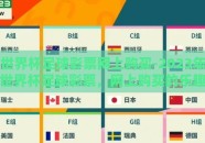 世界杯足球彩票网上购买-2023年世界杯足球彩票，网上购买的乐趣与注意事项
