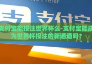 支付宝能投注世界杯么-支付宝能成为世界杯投注的新通道吗？