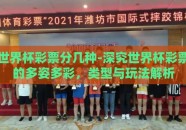 世界杯彩票分几种-深究世界杯彩票的多姿多彩，类型与玩法解析
