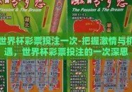 世界杯彩票投注一次-把握激情与机遇，世界杯彩票投注的一次深思