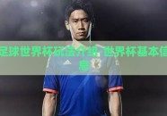 足球世界杯玩法介绍-世界杯基本信息