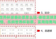 世界杯球赛彩票怎么玩-体验足球激情，乐购世界杯彩票，实用指南与策略