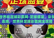 世界杯足球彩票网-足球盛宴，彩梦连线，世界杯足球彩票网全攻略