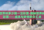 世界杯多少钱一注彩票-揭秘世界杯彩票——成本与梦想的交汇点