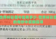 世界杯彩票中奖有多少-世界杯彩票的奇妙中奖额探寻