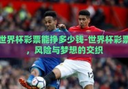 世界杯彩票能挣多少钱-世界杯彩票，风险与梦想的交织