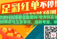 世界杯彩票都在哪里吗-世界杯彩票的购买与注意事项，细致考量，明智之选