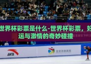 世界杯彩票是什么-世界杯彩票，好运与激情的奇妙碰撞