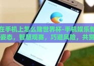 在手机上怎么赌世界杯-手机娱乐新姿态，智慧观赛，巧避风险，共赏世界杯精彩