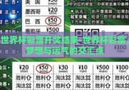 世界杯彩票开奖结果-世界杯彩票，梦想与运气的交汇点