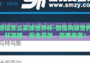 微信怎么买球世界杯-微信购球世界杯攻略，安全高效，指南来袭！