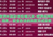 世界杯买彩票在哪儿买-世界杯购彩指南，安全合法的购票方式探索