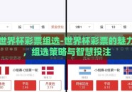 世界杯彩票组选-世界杯彩票的魅力，组选策略与智慧投注