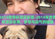 2014世界杯足彩彩票-2014年世界杯足彩彩票，梦想与运气的碰撞