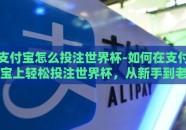 支付宝怎么投注世界杯-如何在支付宝上轻松投注世界杯，从新手到老鸟的360度指南