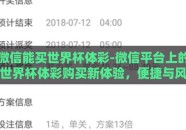 微信能买世界杯体彩-微信平台上的世界杯体彩购买新体验，便捷与风险并存