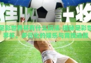 足彩世界杯有什么玩法-揭秘足彩世界杯，多元化的娱乐与竞技选择