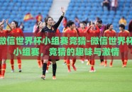 微信世界杯小组赛竞猜-微信世界杯小组赛，竞猜的趣味与激情