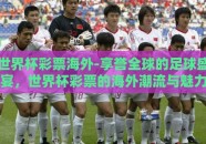 世界杯彩票海外-享誉全球的足球盛宴，世界杯彩票的海外潮流与魅力